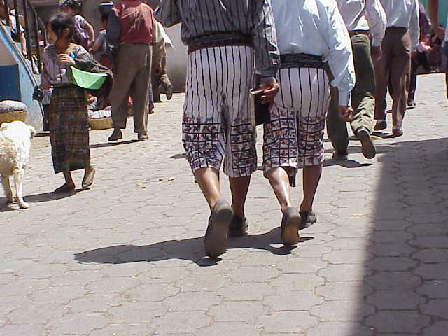 La pantalon brod de motifs d'oiseaux