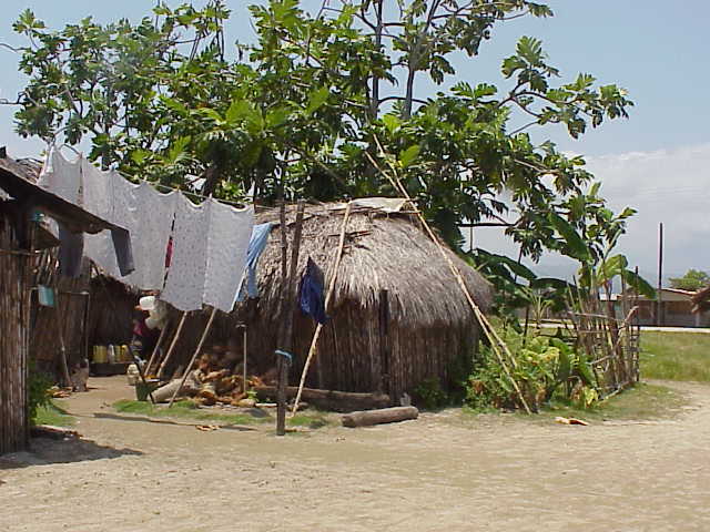 Habitat  Rio Diablo