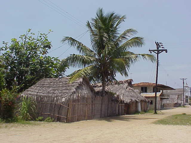 Habitat  Rio Diablo