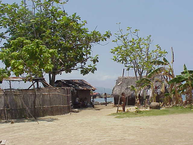 Habitat  Rio Diablo