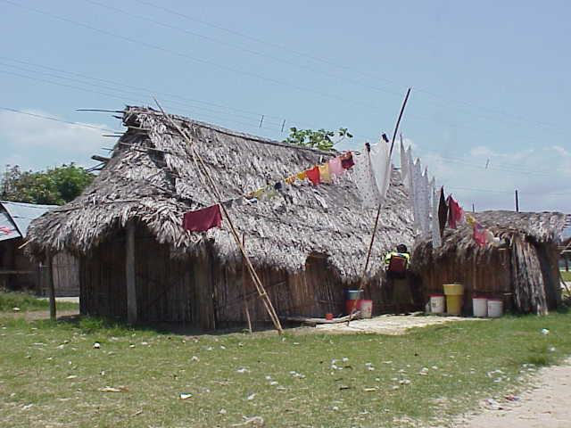 Habitat  Rio Diablo