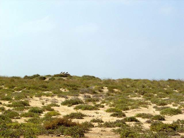 Khor Nawarat