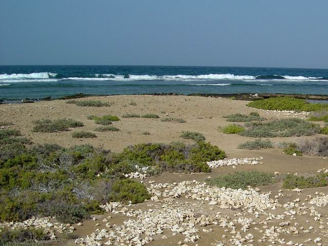 Khor Nawarat