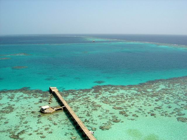 Sanganeb Reef