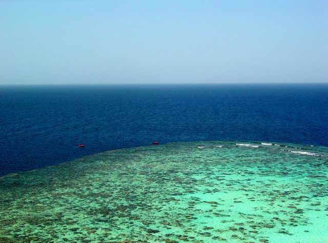 Sanganeb Reef
