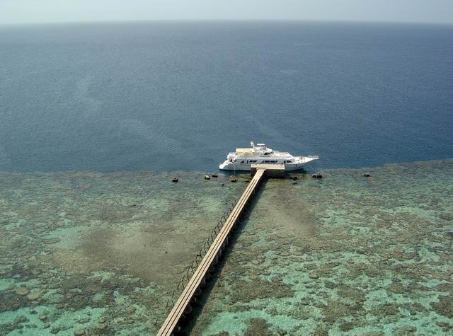 Sanganeb Reef